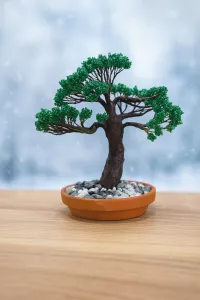 Bonsaj ze střípků ticha