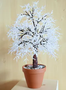 Dub zimního ticha Dub zimního ticha