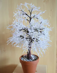 Dub zimního ticha Dub zimního ticha