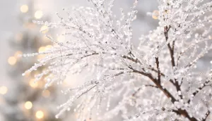 Dub zimního ticha Dub zimního ticha