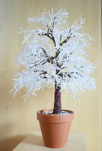 Dub zimního ticha Dub zimního ticha