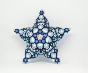 Hvězda studené noci