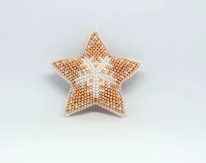 Hvězda Vanilkový třpyt Hvězda Vanilkový třpyt