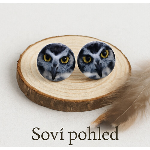 Náušnice - Soví pohled